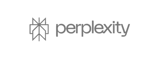 Perplexity